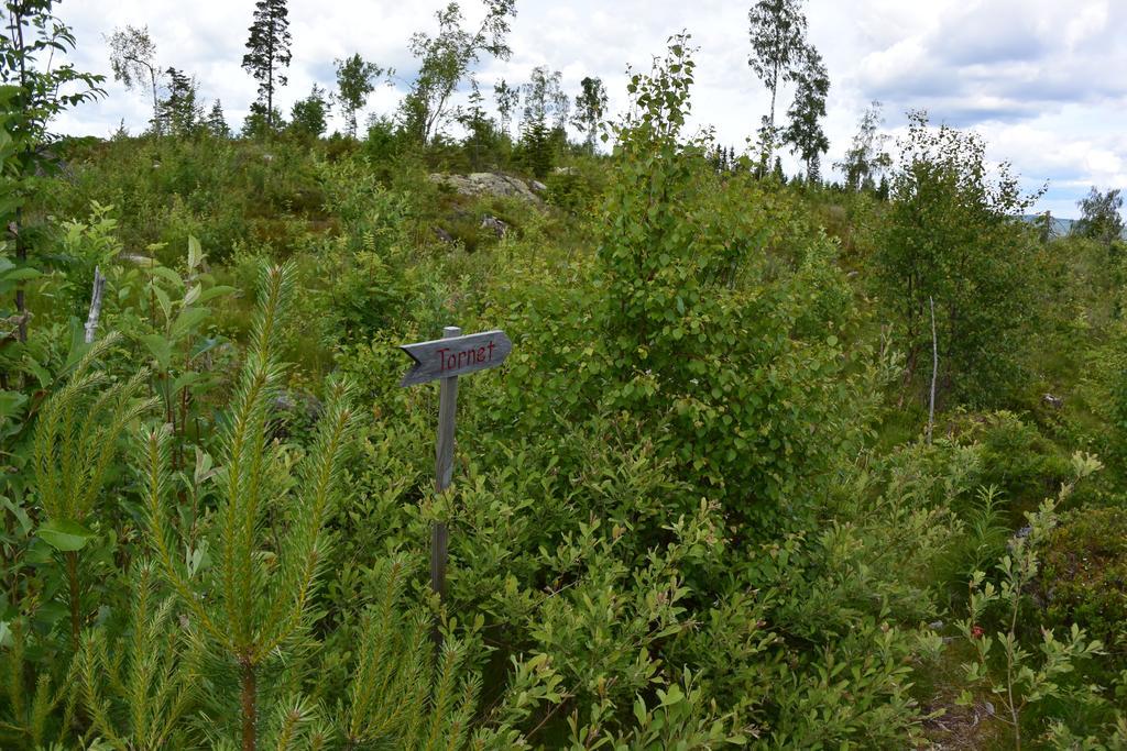 Mieps Huset Dalarna Holiday Kullen  外观 照片