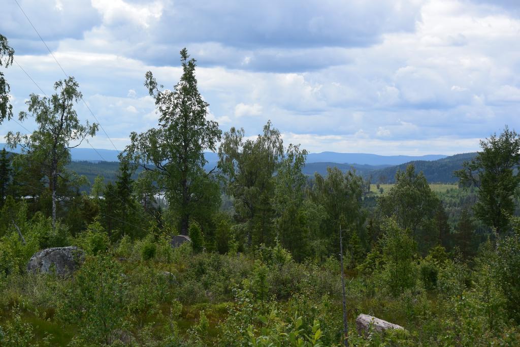 Mieps Huset Dalarna Holiday Kullen  外观 照片