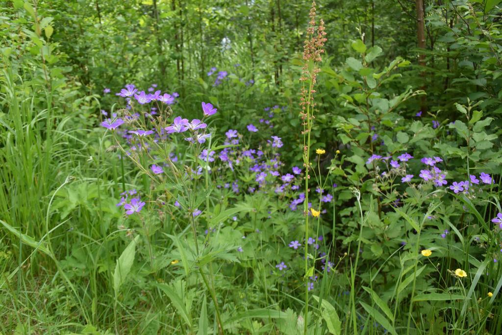 Mieps Huset Dalarna Holiday Kullen  外观 照片